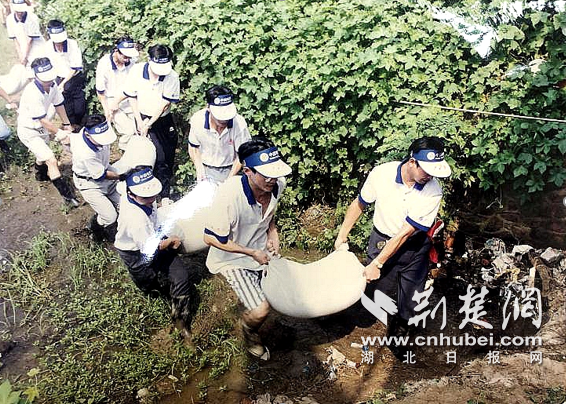 |坚守“九八抗洪精神” 电信人二战洪水“誓让电波永在线”