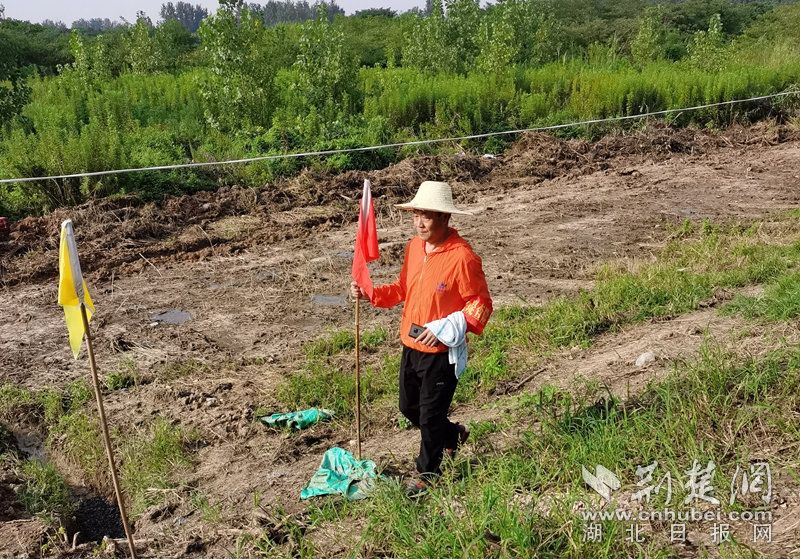 |军转干部主动延迟退休参与防汛 堤坝一线践行退役军人党员双重使命