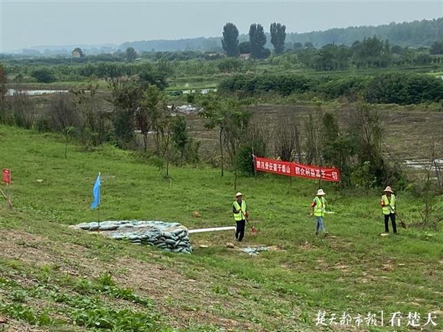 |武汉这段堤防一天发现13处险情，防汛专家6小时内制定出方案并处置完毕