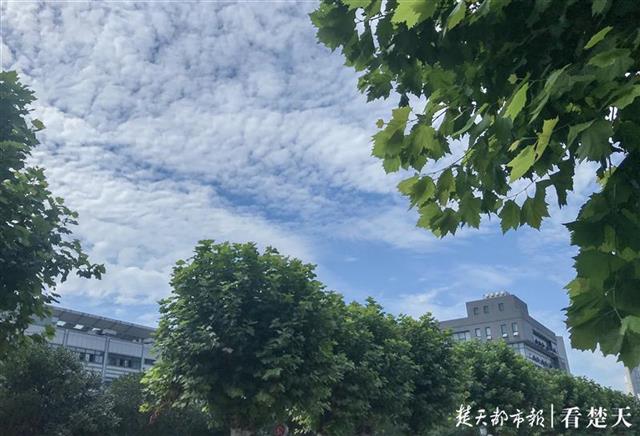 |久违的蓝天白云回来了！