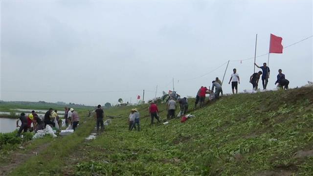沙洋县城人口_沙洋中学图片