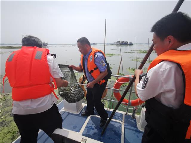 |湖北五部门联合发通告严打非法捕捞违法犯罪行为