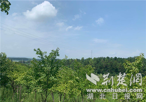 |老河口郝岗村发展乡村旅游带动村民致富