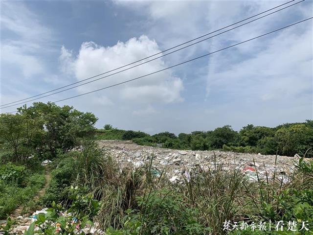 |农田借出成垃圾填埋场惹出烦心事，当地已叫停，运输方承诺处理
