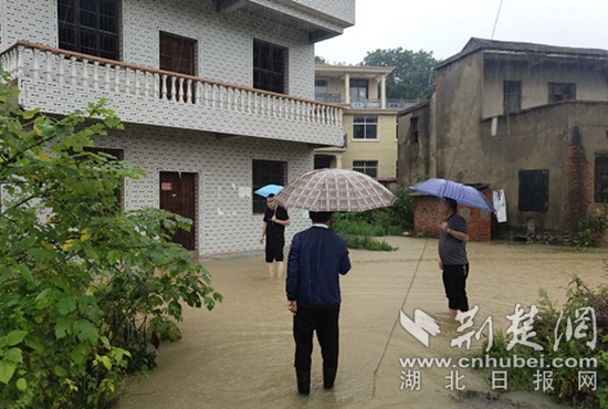 |黄石税务闻“汛”而动 成立首批防汛突击队