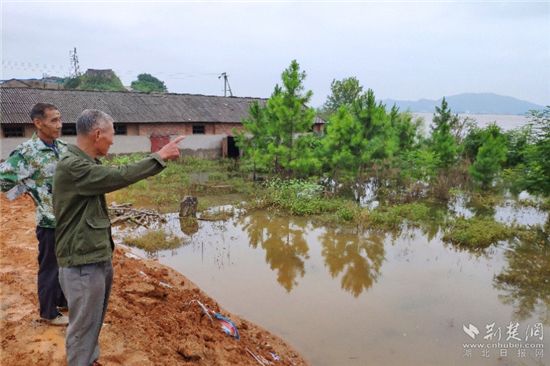|蕲春县马齿港4小时，一场生死速递的转移安置