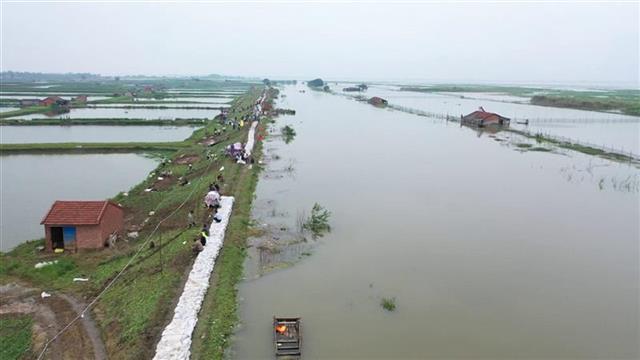 |抢筑子堤，沙洋后港300人8小时用掉1万个编织袋