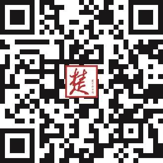 |武汉警方近7个月收缴非法枪支53支举报涉枪爆违法犯罪线索最高奖5万元