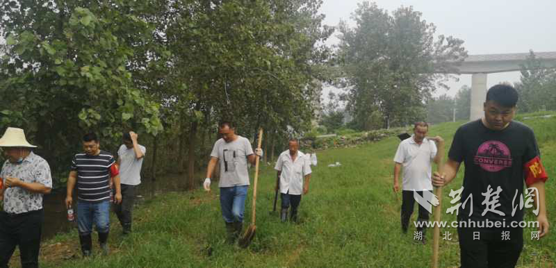 |武汉军山街：防汛一线有一群前赴后继的守堤人