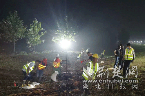 |中建三局一公司防汛抢险突击队彻夜守护府河大堤