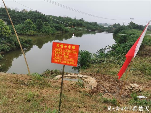 |连续22天坚守堤上，有时每天只睡1小时，三十年来他第六次守护大堤