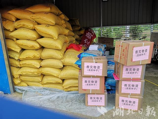 |全省4000多名农业专家奔赴抗灾保生产一线