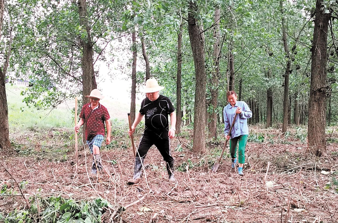 |簰洲湾：防汛意识融入血液之中