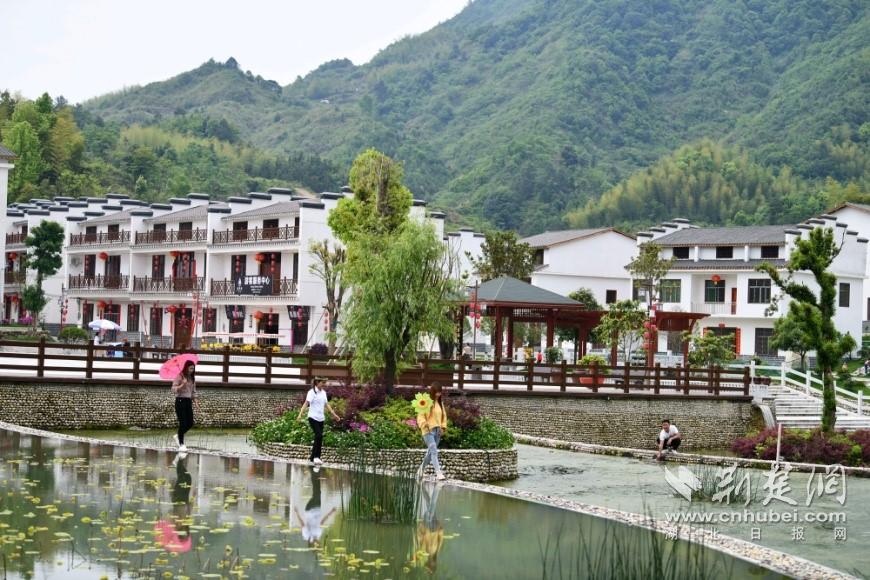 |党建引领通城书写基层治理新答卷