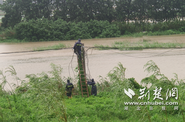|筑牢防汛通信保障生命线 两千武汉电信人夙夜奋战