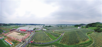黄岗村gdp_花岗岩铺装贴图多图 高清图花岗岩铺装施工方案(2)