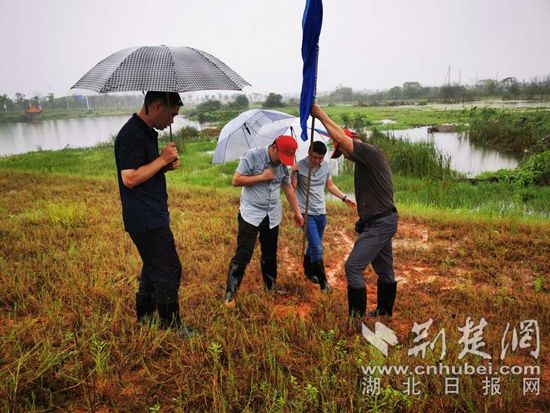 |黄石税务闻“汛”而动 成立首批防汛突击队