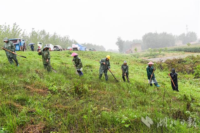 |簰洲湾防汛不松劲