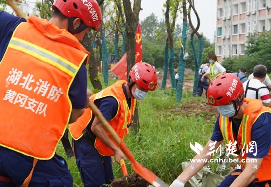 |黄冈师范学院校园排涝大会战全面打响