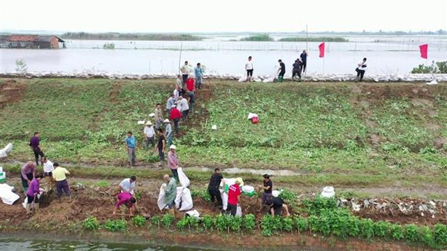 |抢筑子堤，沙洋后港300人8小时用掉1万个编织袋