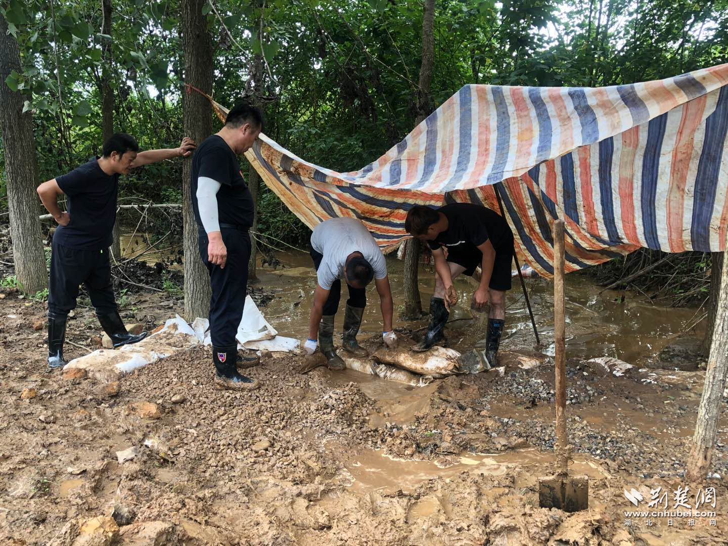 |“一末带十杂”的曾书记： 轻伤不下火线，我在这队伍里算年轻的