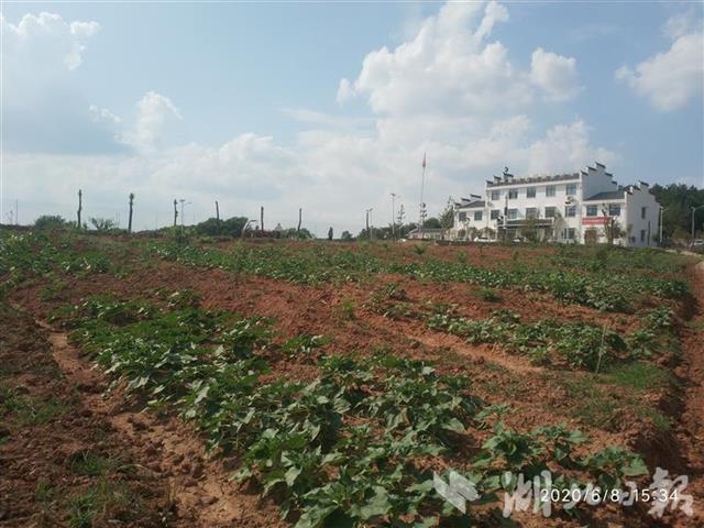 |航天三江扶贫路上，仙人石村的路灯亮了