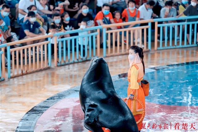 |武汉海昌极地海洋公园迎来孝感70人旅游团