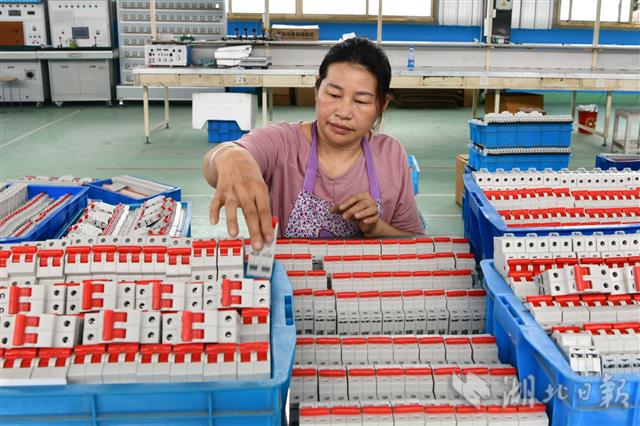 |能人返乡创业 促进群众家门口就业