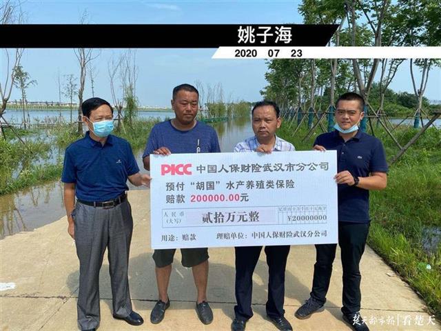 |已赔付1656.96万元！武汉灾后农业保险理赔启动