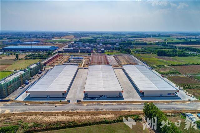 |超级市场穿“新鞋”