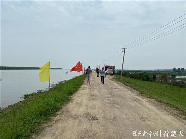|武汉这段堤防一天发现13处险情，防汛专家6小时内制定出方案并处置完毕