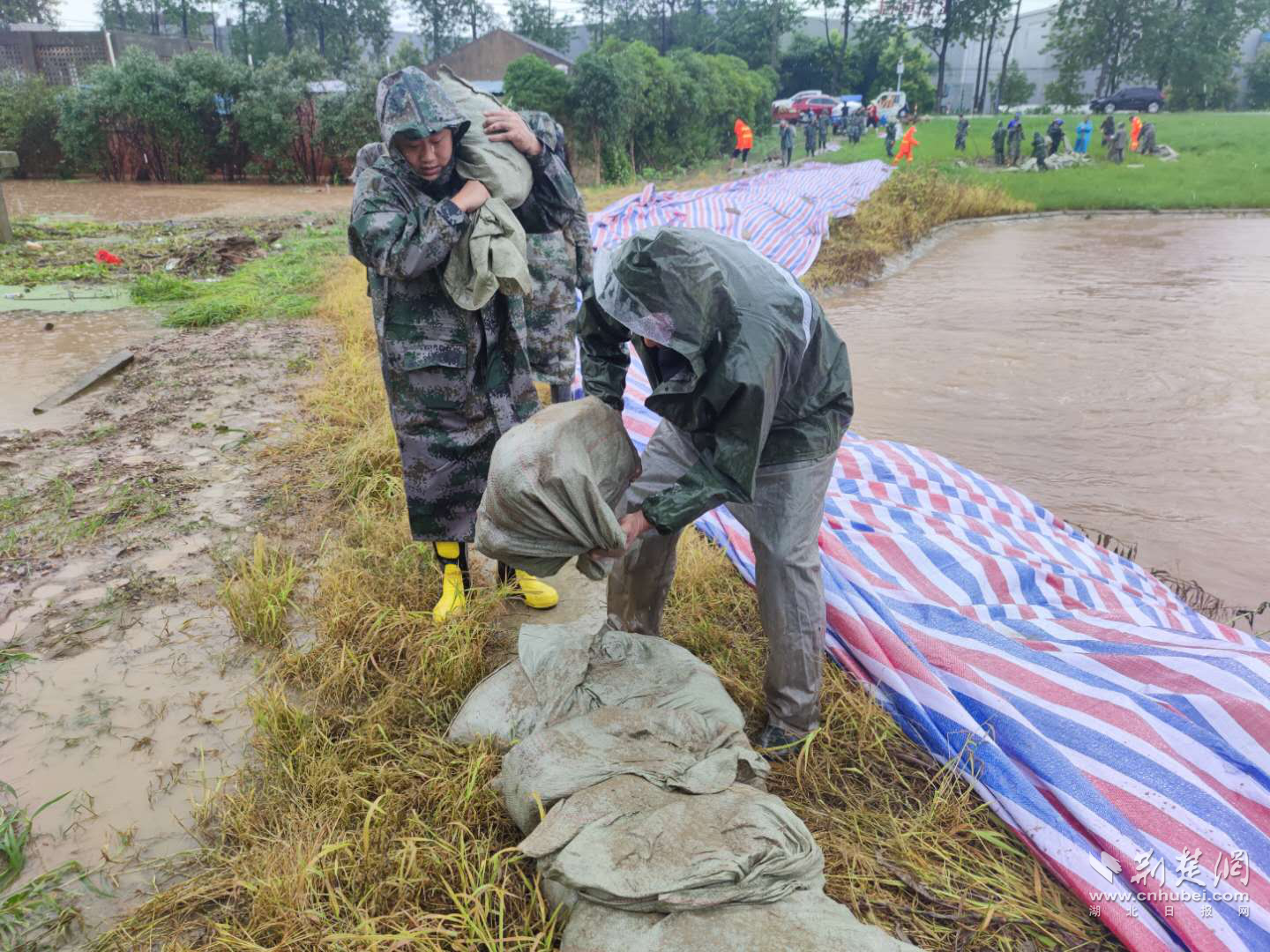 |湘口街：党建引领，防汛一线绽放“四色之光”