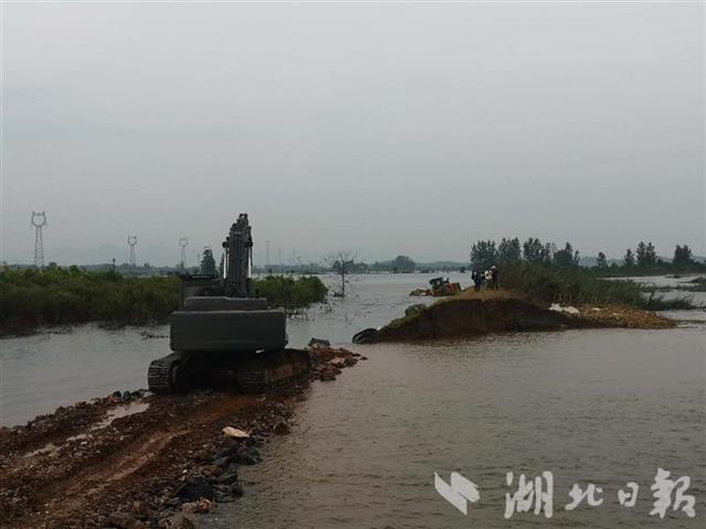|干得漂亮！富河干堤葵赛湖下垸溃口堵住了！