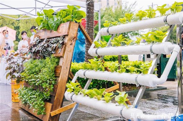 |废弃旧物如何美化生活？这场百变创意集市告诉你答案