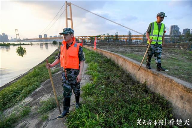|防汛全家总动员，武金堤上有对“父子兵”