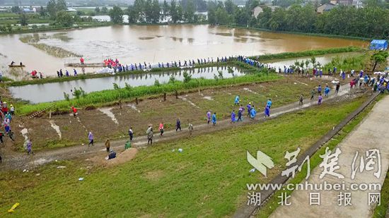 蕲春人口多少_蕲春四中图片