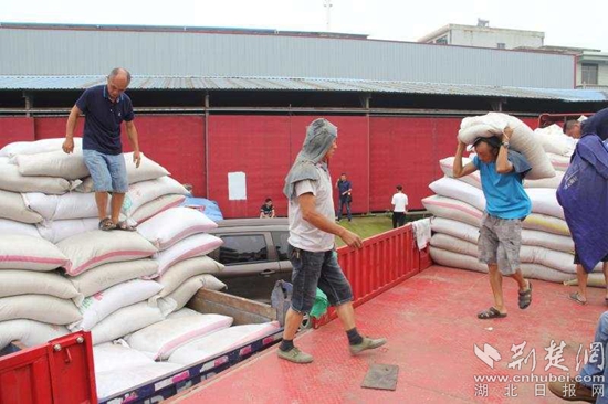 |阳新积极开展灾后农业生产自救