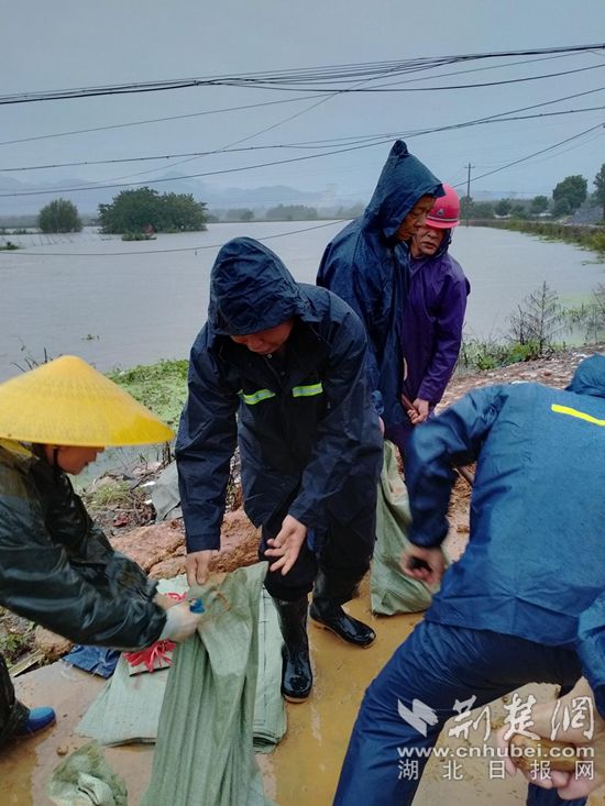 |黄石税务闻“汛”而动 成立首批防汛突击队