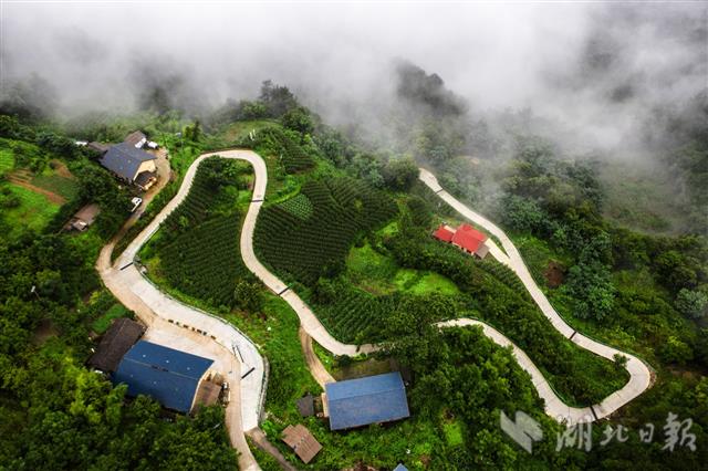 |生态廊道托起深山小康梦（组图）