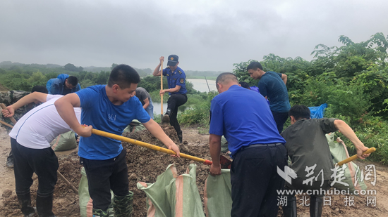 |防汛抗灾 阳新浮屠镇来了批“预备役”