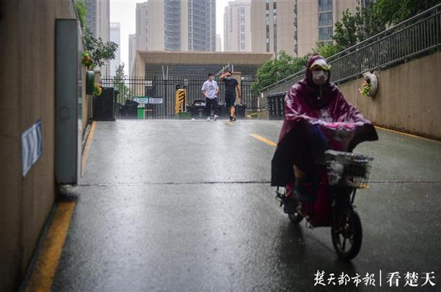 |小区车库出入口成垃圾存放点，物业：正寻求办法解决