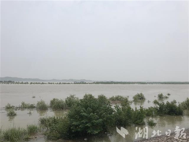 |黄石防汛Ⅲ级应急响应提升至Ⅱ级