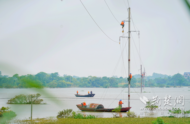 |国网武汉供电公司40台变压器驰援江西鄱阳抗洪救灾