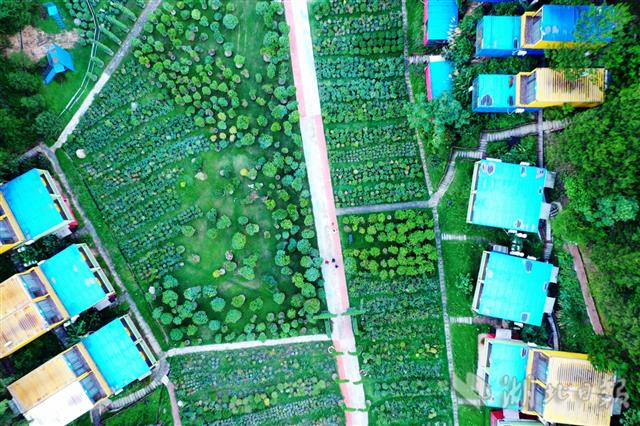 |“四季花海”静待游客