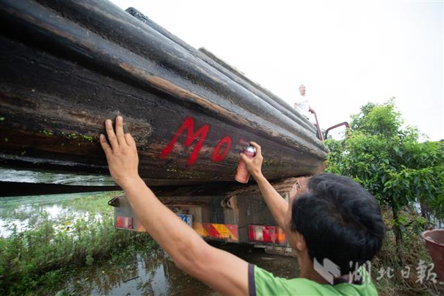 |梁子湖畔交船忙