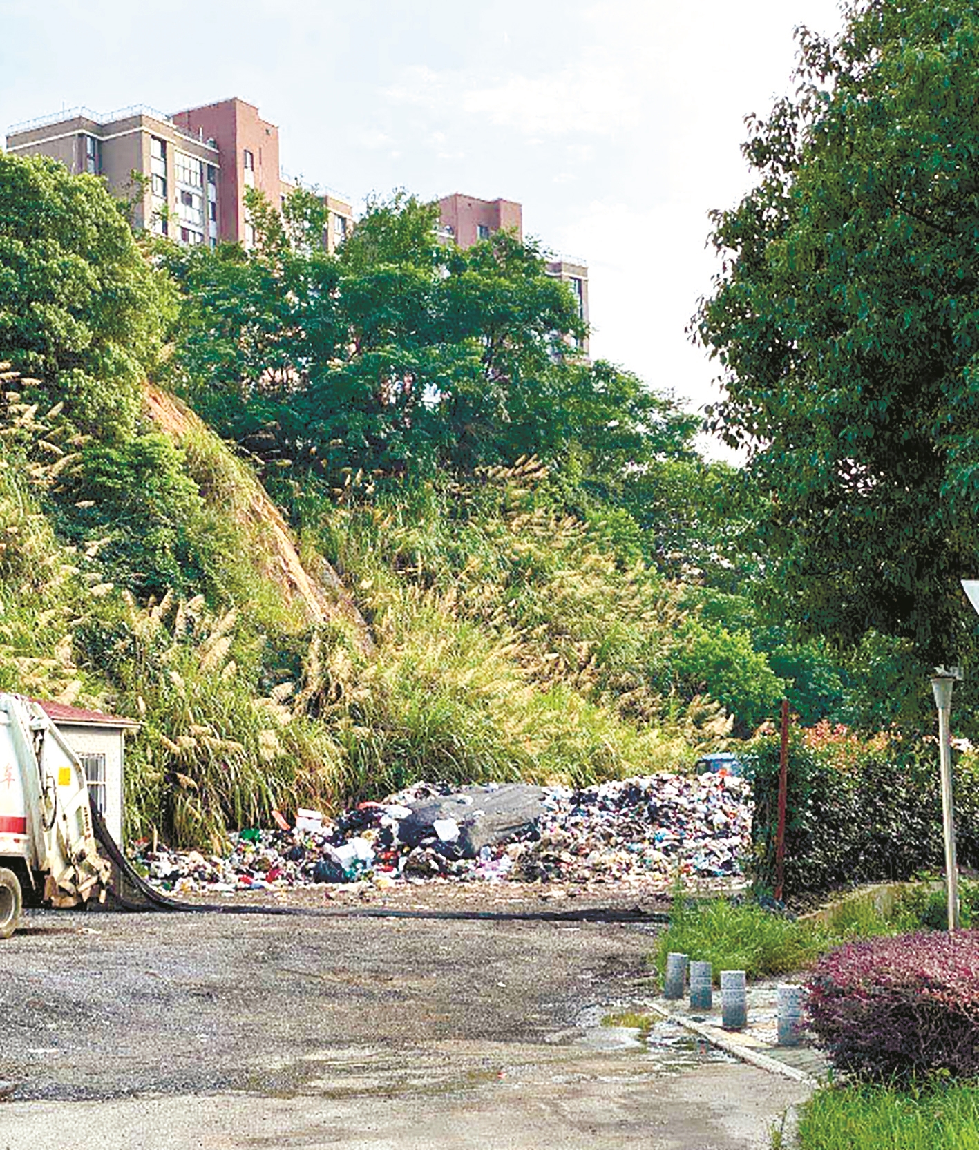 |保洁公司临时工作点堆放垃圾 城管部门已责令整改