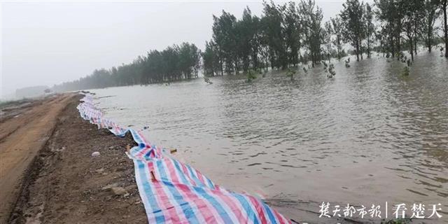|防汛形势严峻，江西九江一镇政府呼吁乡亲回家抗洪，获得积极响应