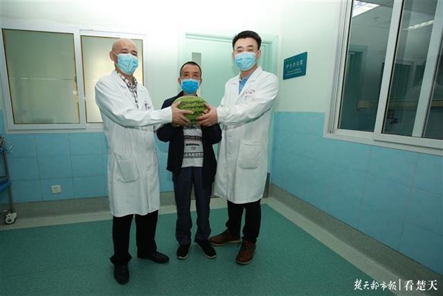 |心肺移植后健康生活3年，麻城农民给医生送来大西瓜