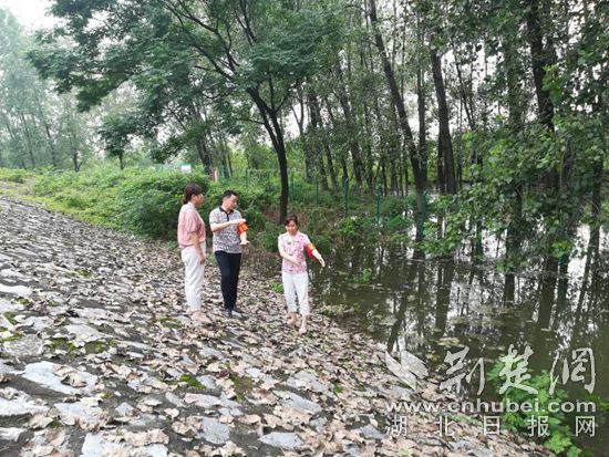 |【战罢疫情再出发】纺织社区第一书记严慧君：科学调度有实效，红色哨所再发力