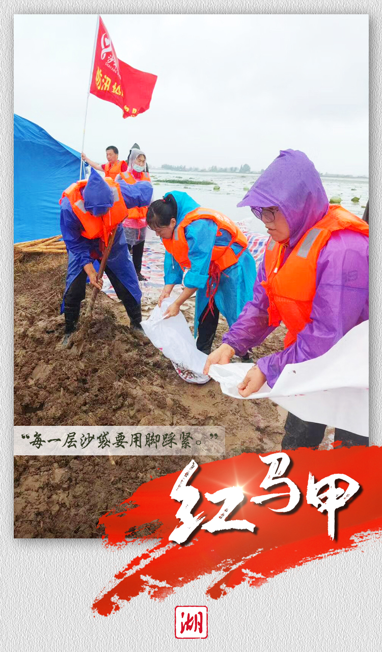 |海报丨长湖“四色”